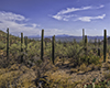 images/arizona/_6454749_small.jpg