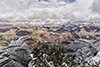 images/arizona/_k1_7899_small.jpg