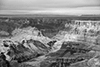 images/arizona/_k5_2532_bw_small.jpg