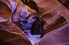 images/arizona/_k5_7941_2_3_4_small.jpg