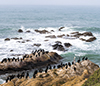 images/california/_6452460_small.jpg